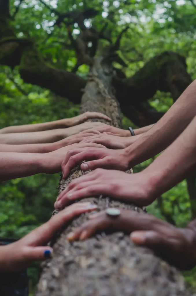 coaching natuur - handen op boomstam