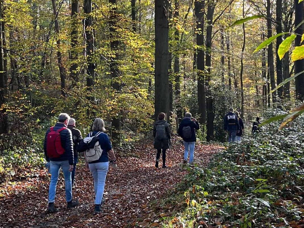 Wandelen in de bossen, retraite met persoonlijk leiderschap