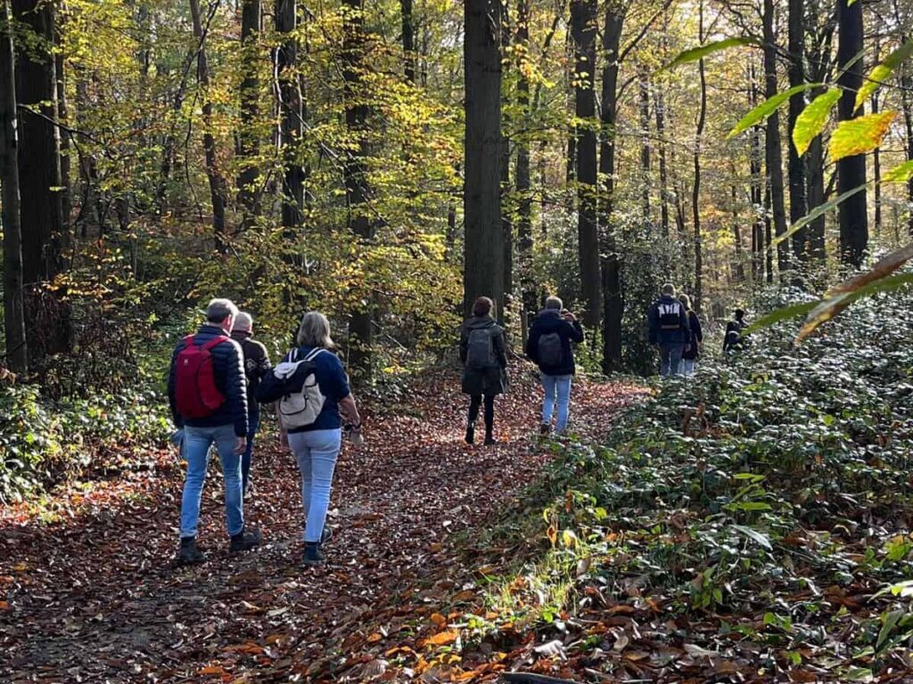 Wandelen in het bos retraite, burn out retraite herstel van burn out